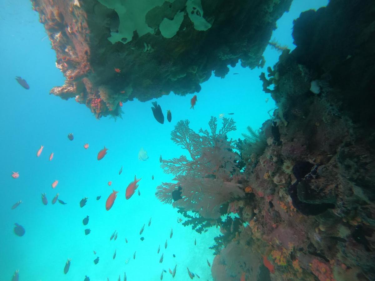 Ambower Homestay Raja Ampat Fam Bagian luar foto