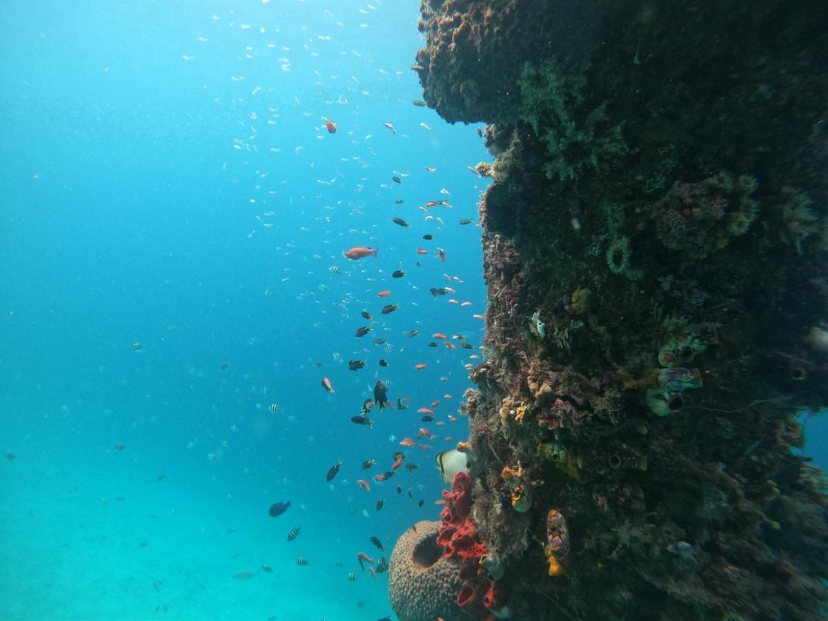 Ambower Homestay Raja Ampat Fam Bagian luar foto