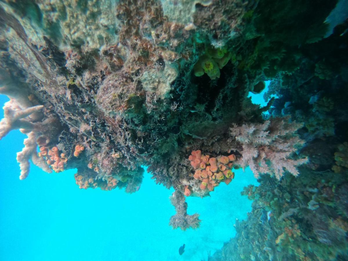 Ambower Homestay Raja Ampat Fam Bagian luar foto
