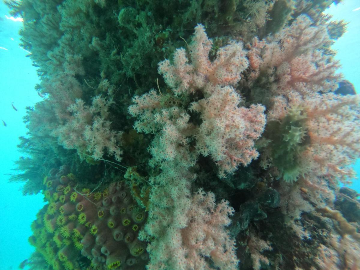 Ambower Homestay Raja Ampat Fam Bagian luar foto